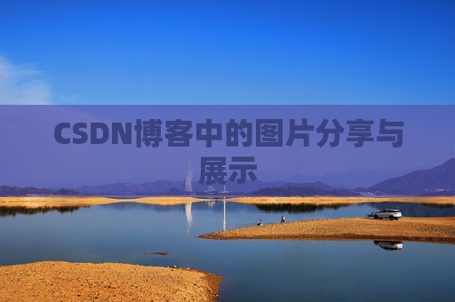 CSDN博客中的图片分享与展示